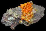 Wulfenite Crystal Cluster - Rowley Mine, AZ #76891-1